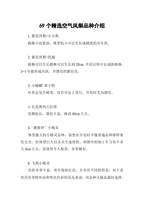 69个精选空气凤梨品种介绍