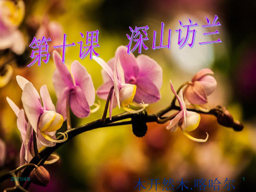 初中汉三年级上册-第十课深山访兰-课文
