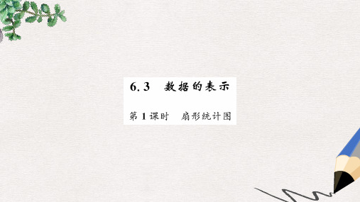 七年级数学上册 第六章 数据的收集与整理 6.3 数据的表示(1)课件 (新版)北师大版