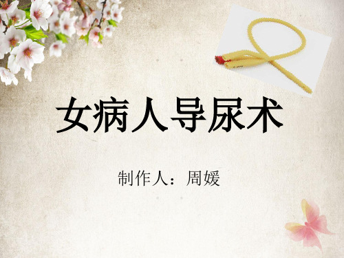 女病人导尿术
