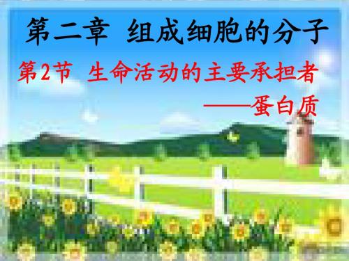 高中生物课件：生命活动的主要承担者——蛋白质