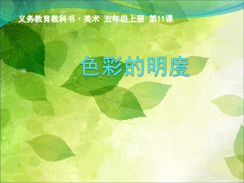 色彩的明度y