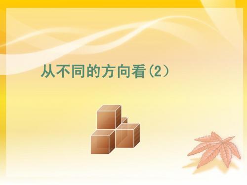 从不同的方向看北师大版课件