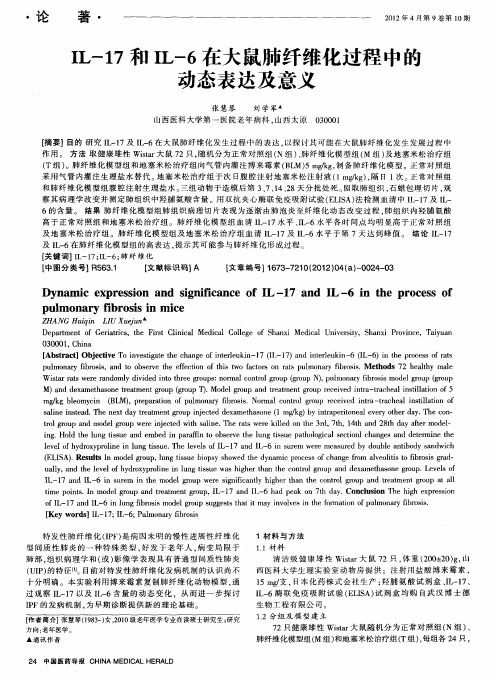 IL-17和IL-6在大鼠肺纤维化过程中的动态表达及意义