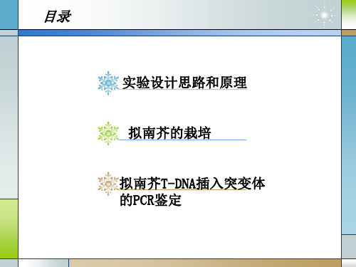 实验十、模式植物拟南芥T-DNA插入突变体的鉴定-23页精选文档