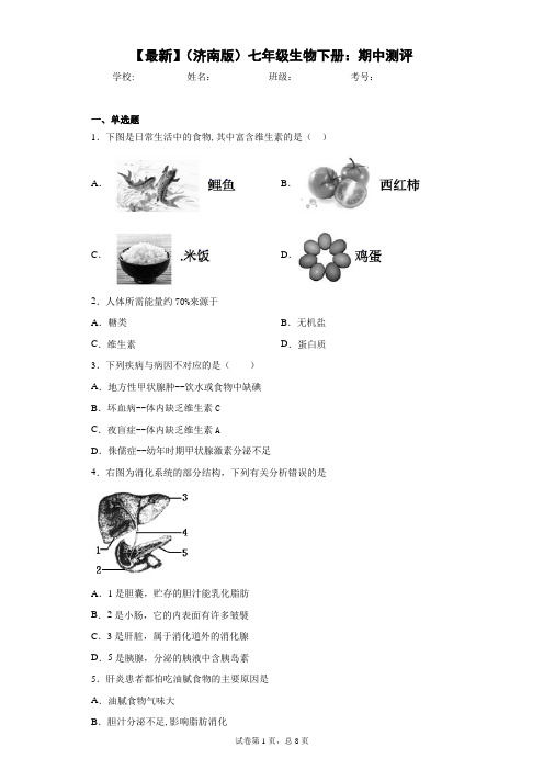 2020-2021学年(济南版)七年级生物下册：期中测评