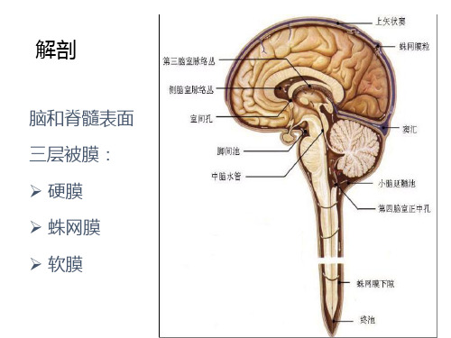 化脓性脑膜炎和结核性脑膜炎