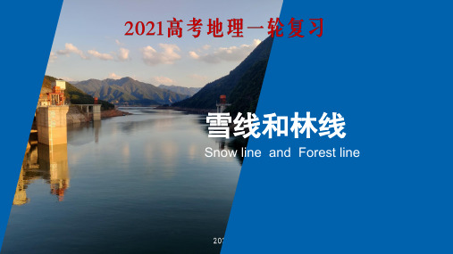 专题复习——雪线和林线