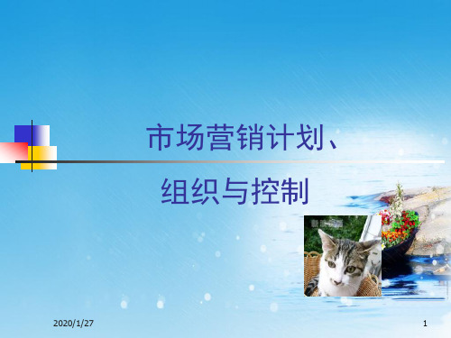 市场营销计划组织与控制
