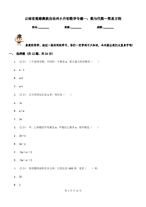 云南省楚雄彝族自治州小升初数学专题一：数与代数--简易方程