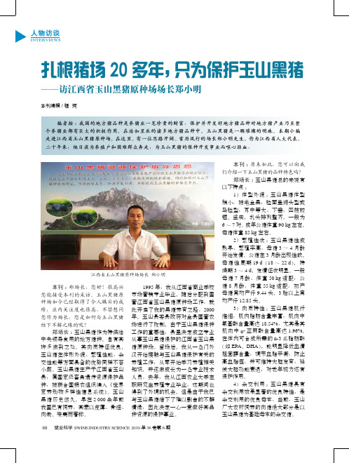 扎根猪场20多年,只为保护玉山黑猪——访江西省玉山黑猪原种场场长郑小明