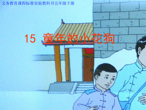 五年级下册语文课件-5.3 童年的小花狗｜鄂教版 (共18张PPT)