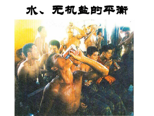 水盐平衡调节