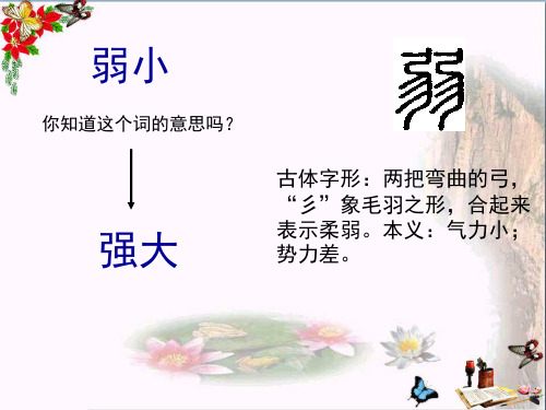 小学四年级语文下册14《我不是最弱小的》 苏教版(1)最新优选公开课件