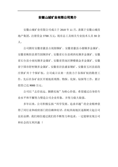 文案---矿业有限公司简介