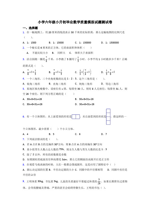 小学六年级小升初毕业数学质量模拟试题测试卷