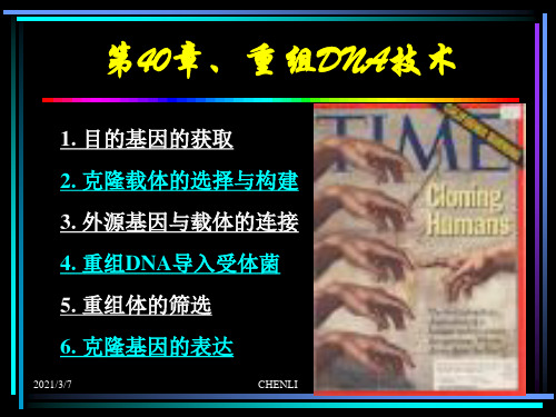 重组DNA技术PPT课件