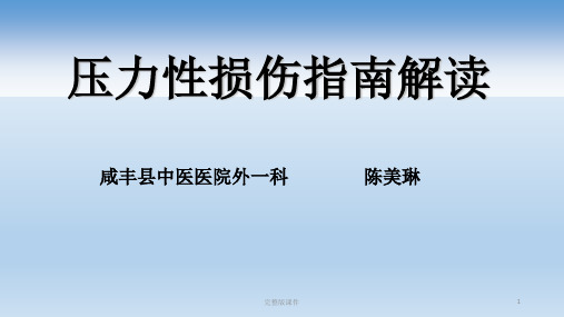 压力性损伤指南解读  ppt课件