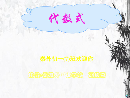 初中数学  代数式2人教版精品公开课件