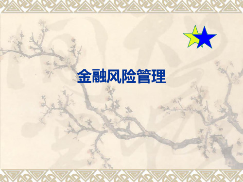 市场风险的管理措施