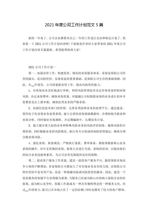 2021年度公司工作计划范文5篇