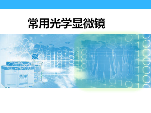常用光学显微镜