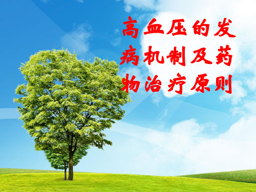 高血压治疗原则 ppt课件