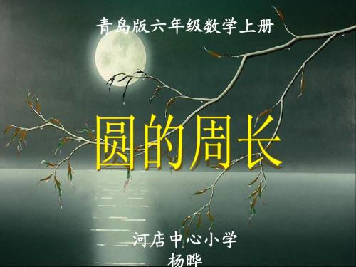 青岛版六年级数学圆的周长杨晔优质课