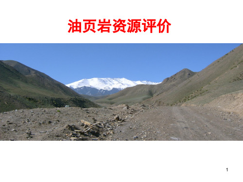 油页岩资源评价