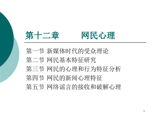 第12章  网民心理
