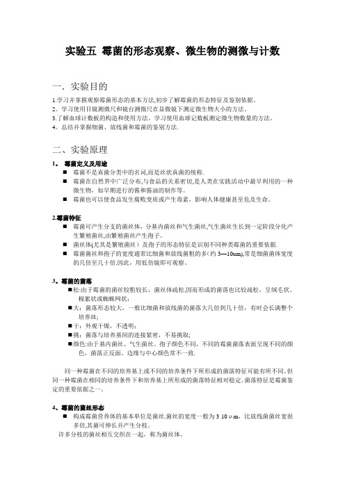 实验五 霉菌的形态观察