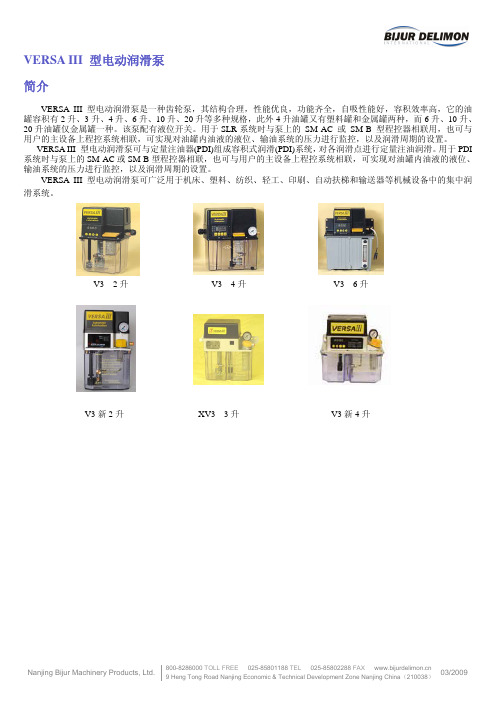 VERSA III 型电动润滑泵