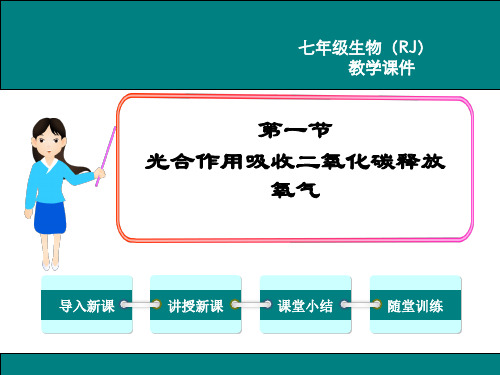 人教版七年级生物上册第三单元 第五章  绿色植物与生物圈中的碳—氧平衡 课件