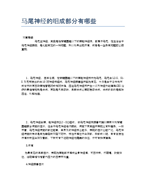 马尾神经的组成部分有哪些【健康小知识】