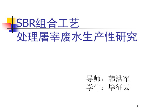 SBR组合工艺处理屠宰废水