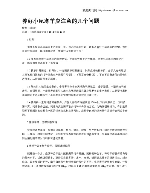 养好小尾寒羊应注意的几个问题