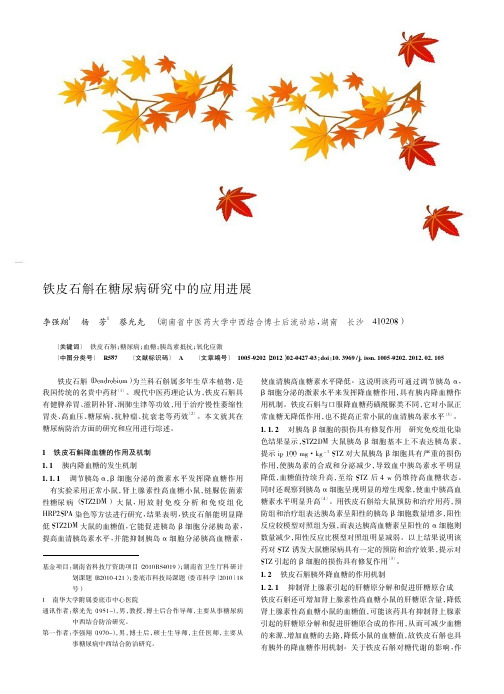 铁皮石斛在糖尿病中的应用进展
