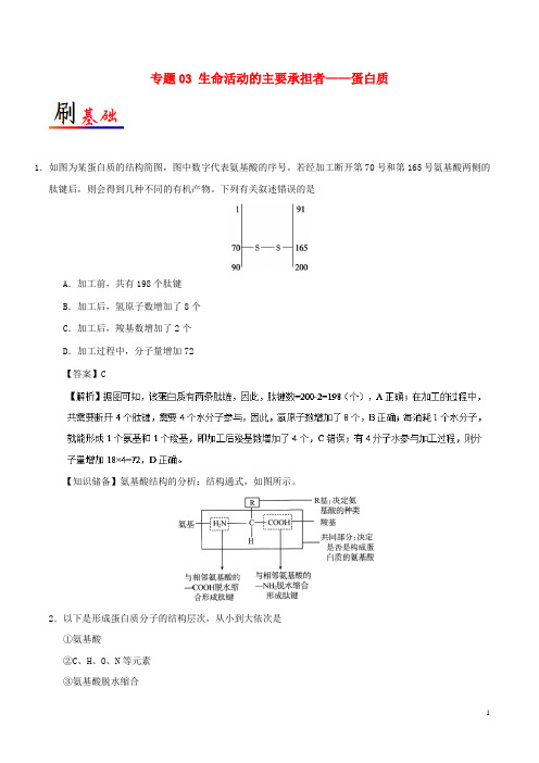 2018_2019学年高中生物专题03生命活动的主要承担者——蛋白质小题狂刷新人教版必修1