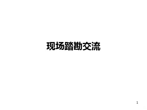现场踏勘 PPT课件