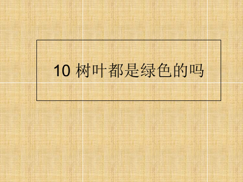 四年级上册语文课件-10.树叶都是绿色的吗｜语文S版 (共11张PPT)