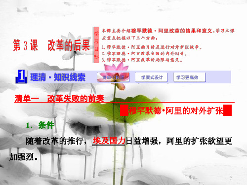 高中历史 第6单元 穆罕默德•阿里改革 第3课 改革的后果课件 新人教版选修1