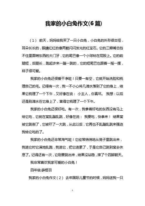 我家的小白兔作文(6篇)