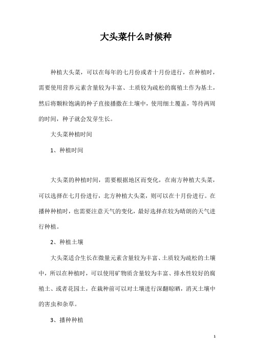 大头菜什么时候种
