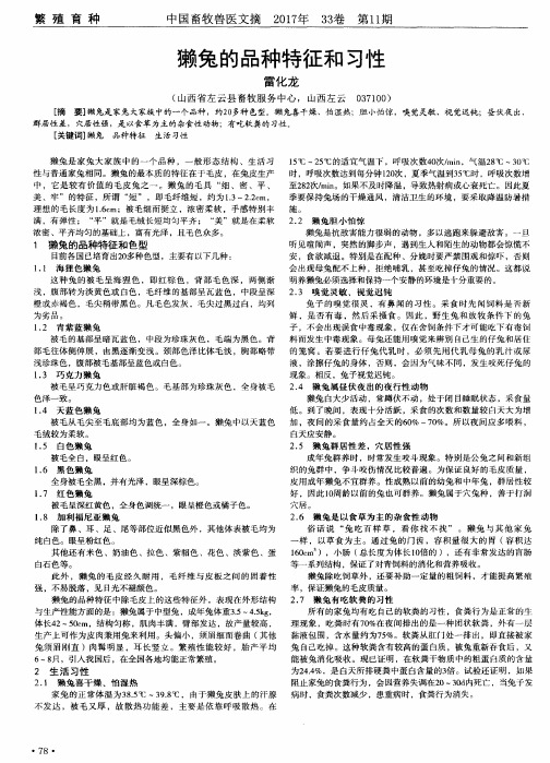 獭兔的品种特征和习性
