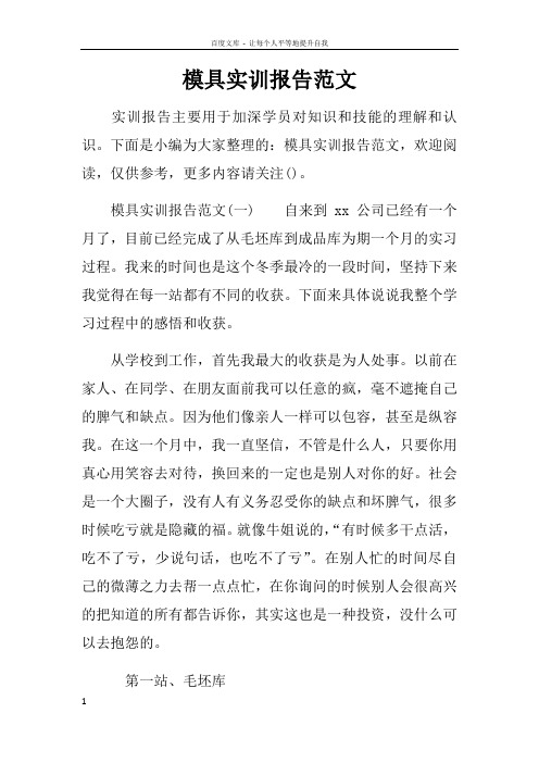 模具实训报告范文