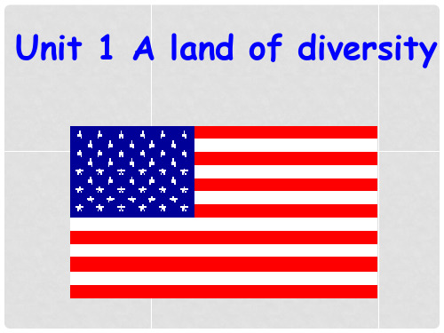 高中英语 Unit 1 A land of diversity  reading课件 