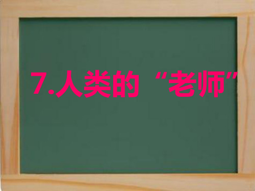 苏教版四年级语文下册第7课《人类的老师》PPT课件