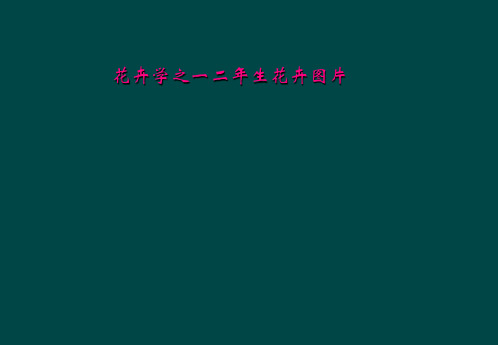 花卉学之一二年生花卉图片