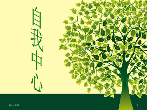 自我中心人格PPT课件