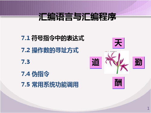 第7章汇编语言与汇编程序资料PPT课件